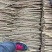安阳内黄县小白嘴山药/质量保证价格低/对接超市商场