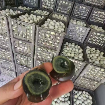 松花蛋皮蛋精品无铅松花蛋好吃不贵口感好量大从优