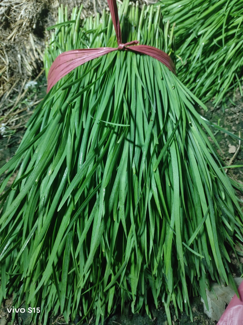 河北通货