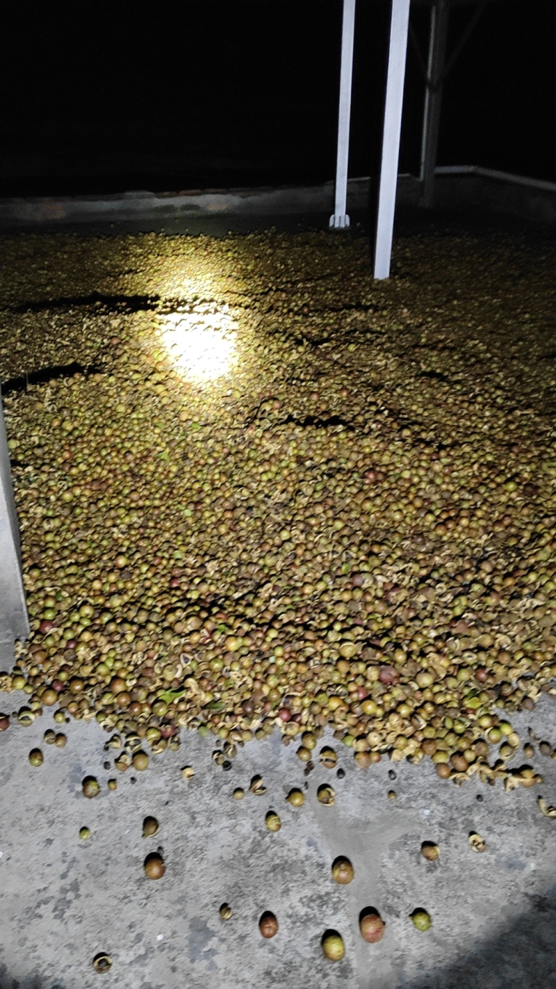 山茶油，买的实惠，吃的放心。