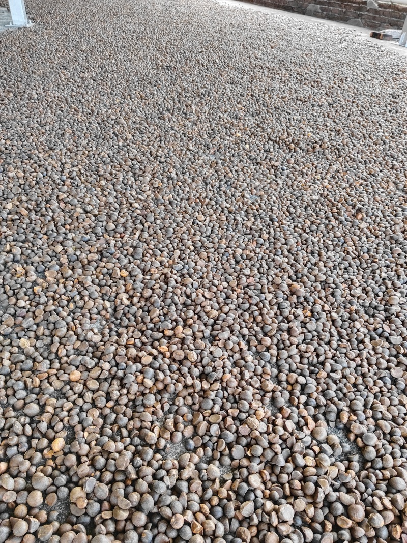 山茶油，买的实惠，吃的放心。