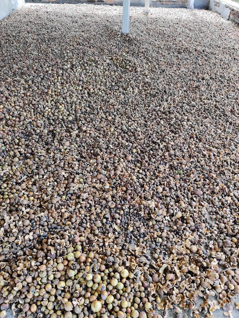 山茶油，买的实惠，吃的放心。