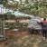 散装纯干鸡粪一手货源品质保证可视频欢迎下单