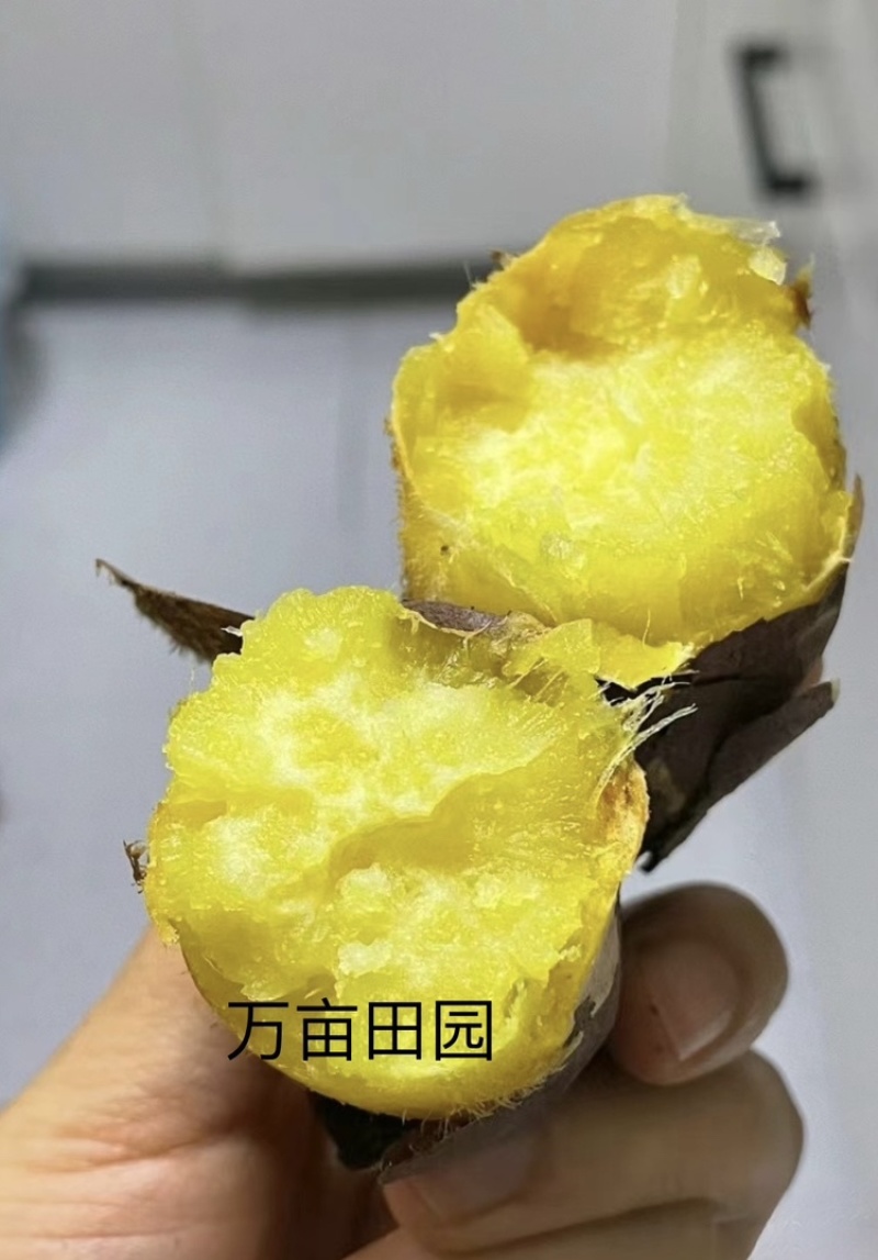 榴莲蜜薯软糯香甜爽滑可口产地直发量大优惠整车批发一件代发