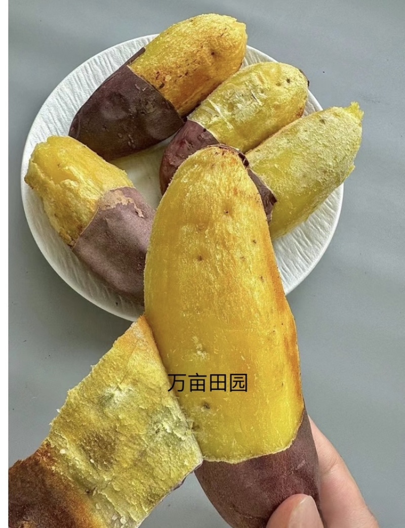榴莲蜜薯软糯香甜爽滑可口产地直发量大优惠整车批发一件代发