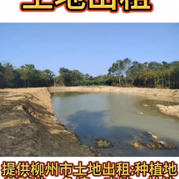 农种养用土地流转
