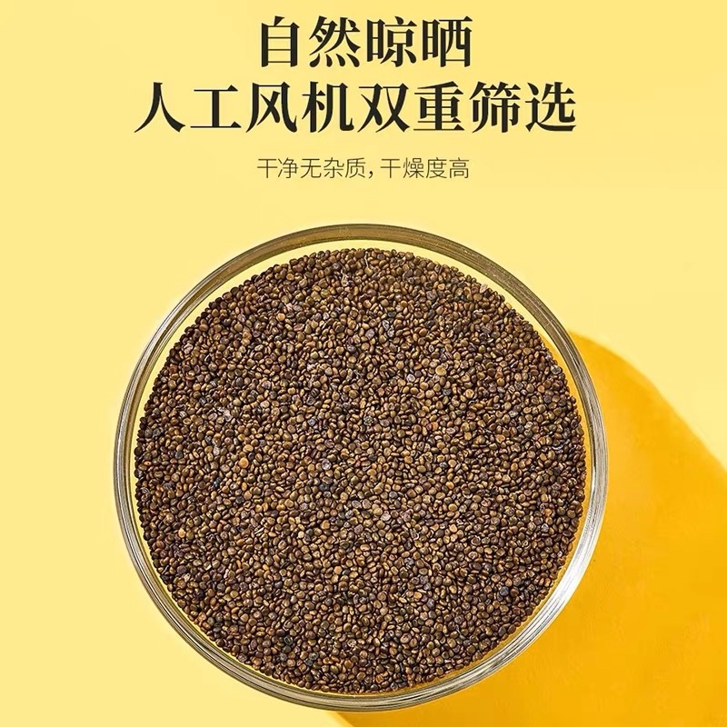 精品沙苑子量大从优欢迎全国各地朋友协商