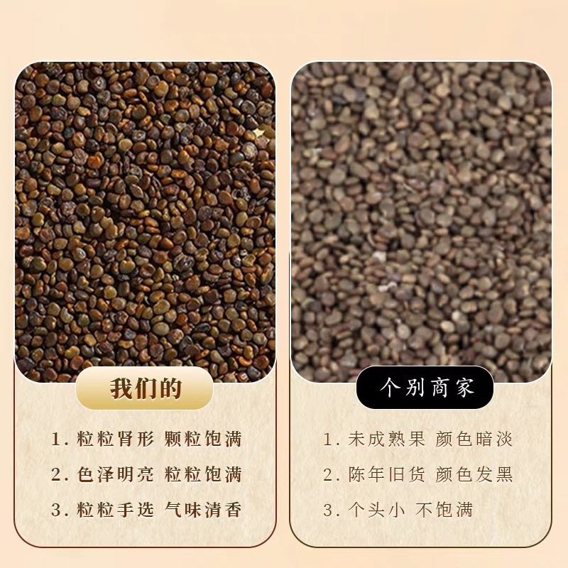 精品沙苑子量大从优欢迎全国各地朋友协商