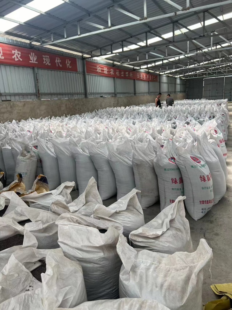精品沙苑子量大从优欢迎全国各地朋友协商