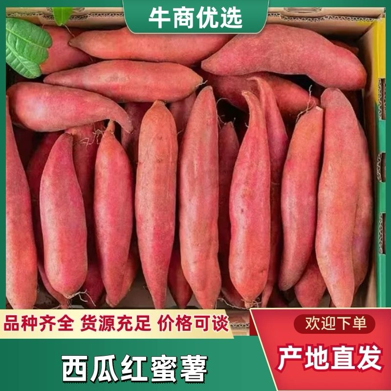 西瓜红蜜薯软糯香甜产地直发量大优惠整车批发一件代发