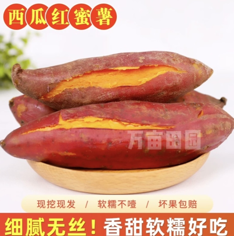 西瓜红蜜薯软糯香甜产地直发量大优惠整车批发一件代发