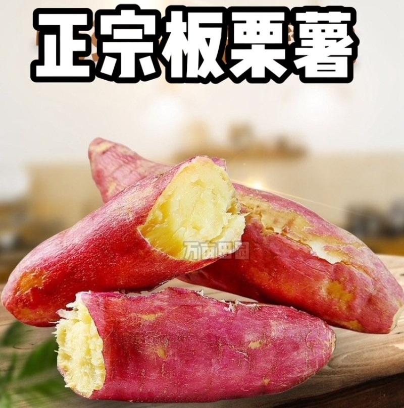 板栗红薯干面口感产地直发量大优惠整车批发一件代发
