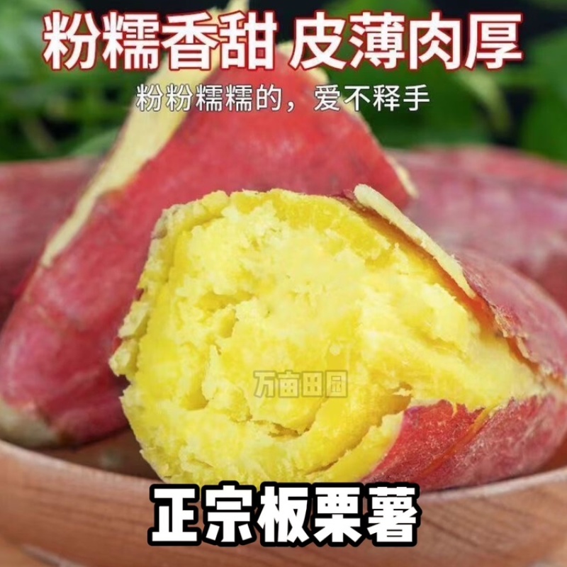 板栗红薯干面口感产地直发量大优惠整车批发一件代发
