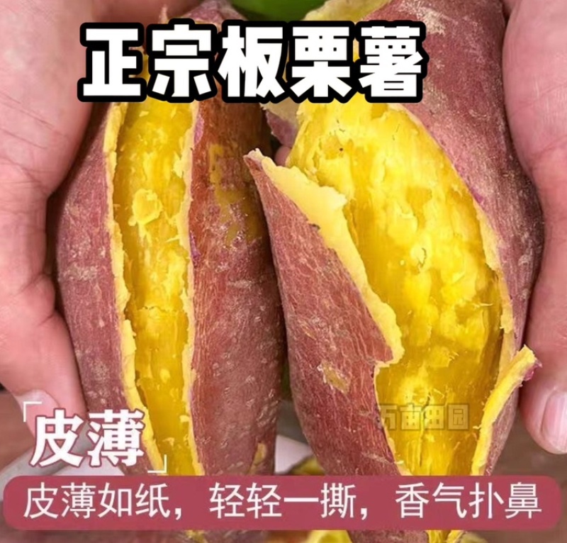 板栗红薯干面口感产地直发量大优惠整车批发一件代发