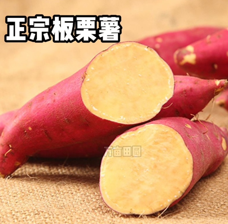 板栗红薯干面口感产地直发量大优惠整车批发一件代发