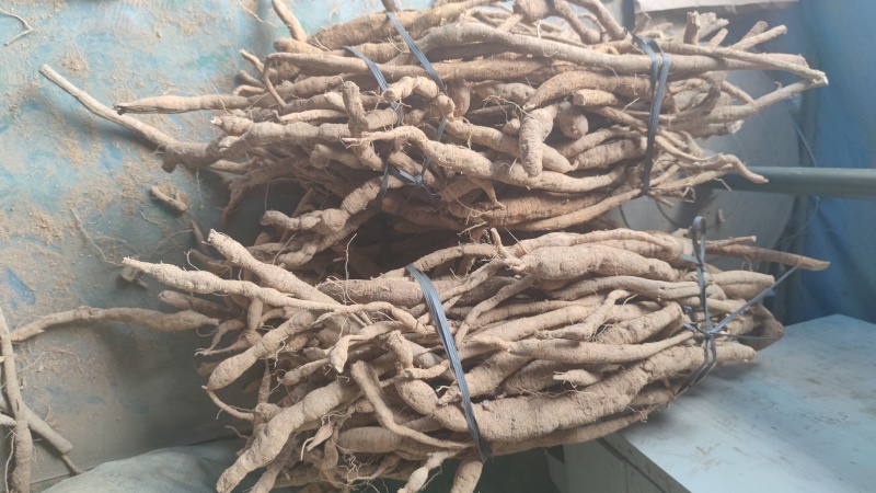 选货牛大力