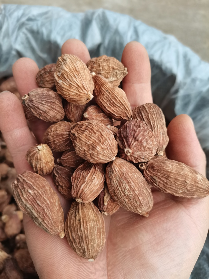草果面/草果粉/假一赔百/货真价实/量大可商议，全国包邮