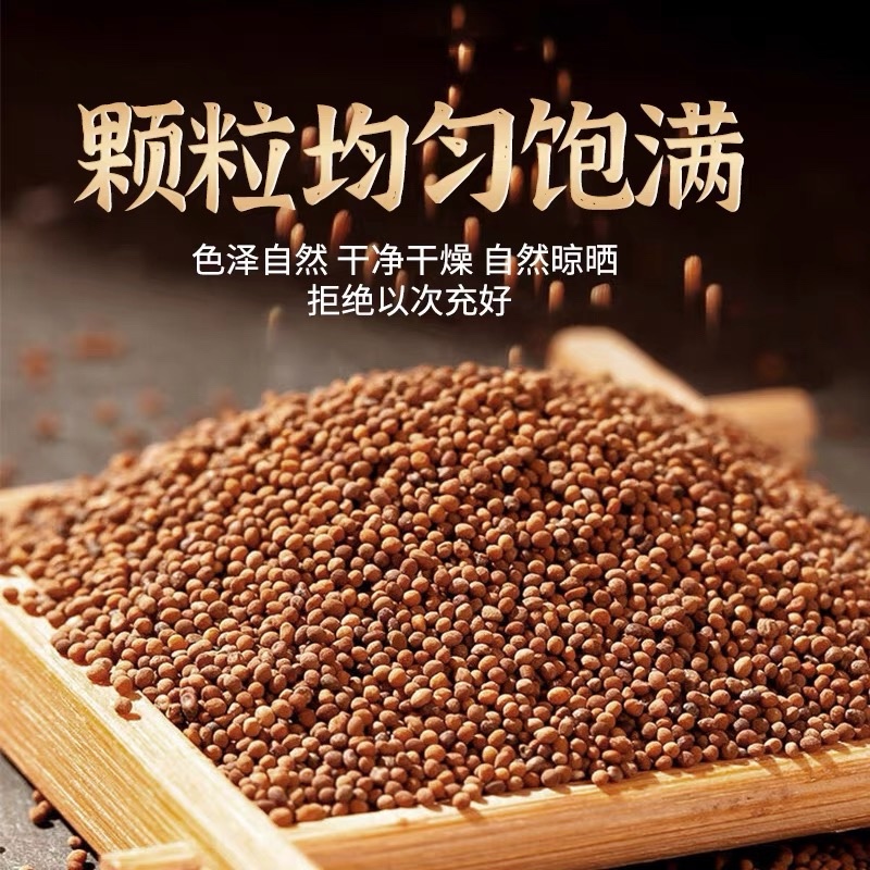 【实力商家】精选内蒙古菟丝子厂家直发品质保障