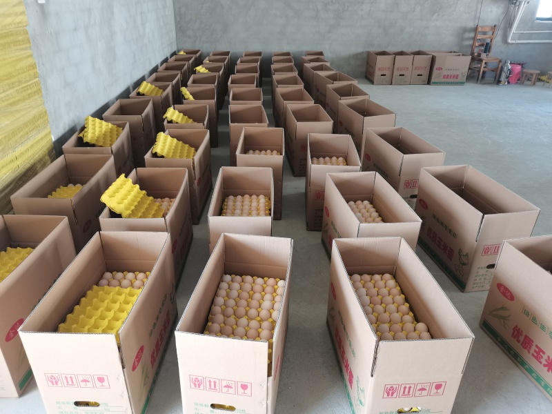 【大量有货】粉蛋鸡蛋诚信卖家常年有货欢迎来电咨询