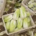 鲜菜~娃娃菜大量有货……自产自销，价位美丽，品质优越……