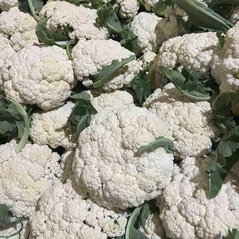 花菜，青梗散花，散花花菜，白花菜全国发货欢迎来电
