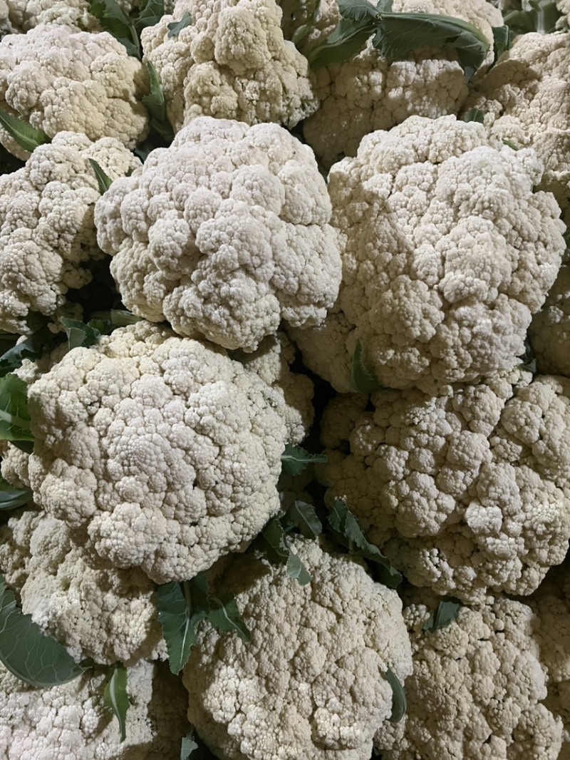 花菜，青梗散花，散花花菜，白花菜全国发货欢迎来电