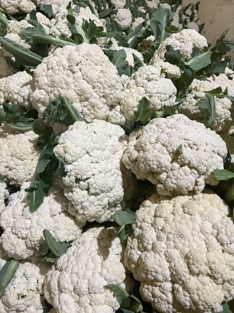 花菜，青梗散花，散花花菜，白花菜全国发货欢迎来电