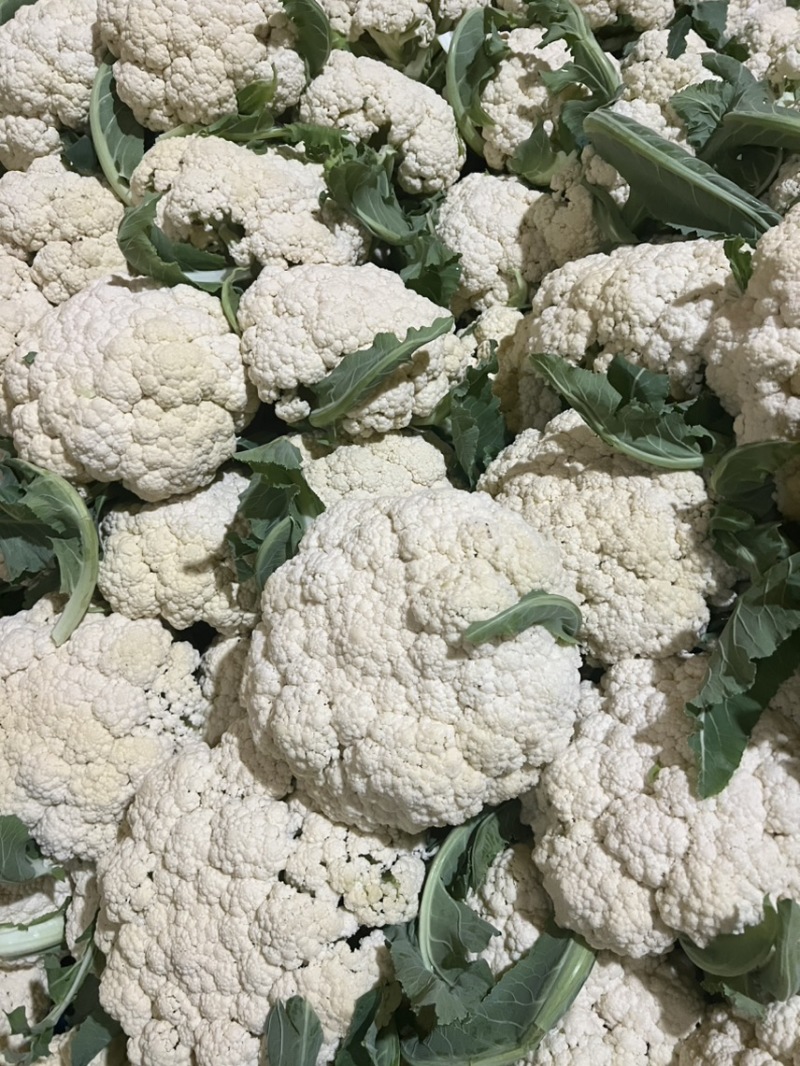 花菜，青梗散花，散花花菜，白花菜全国发货欢迎来电
