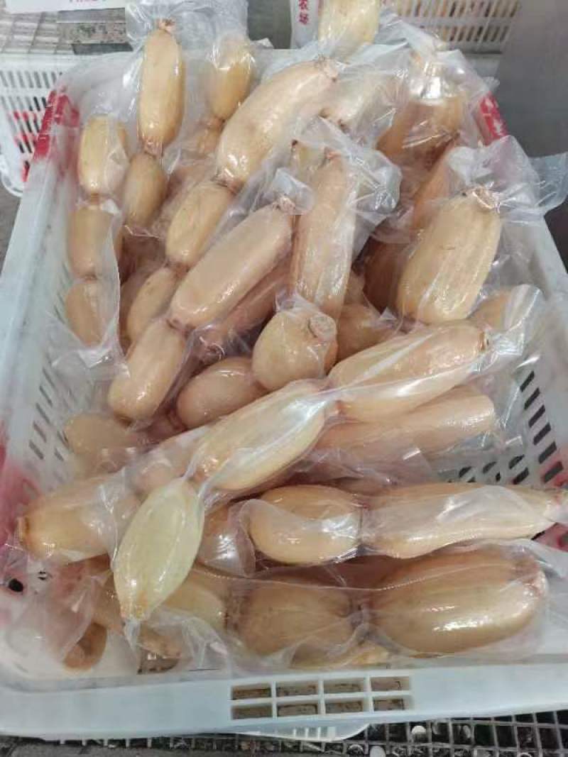 【品质保证】莲藕大量有货产地直发可视频看货