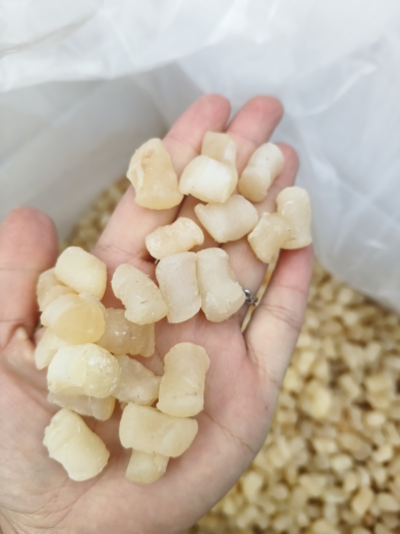 干贝瑶柱扇贝丁淡干盐干现货批发品质保证欢迎咨询