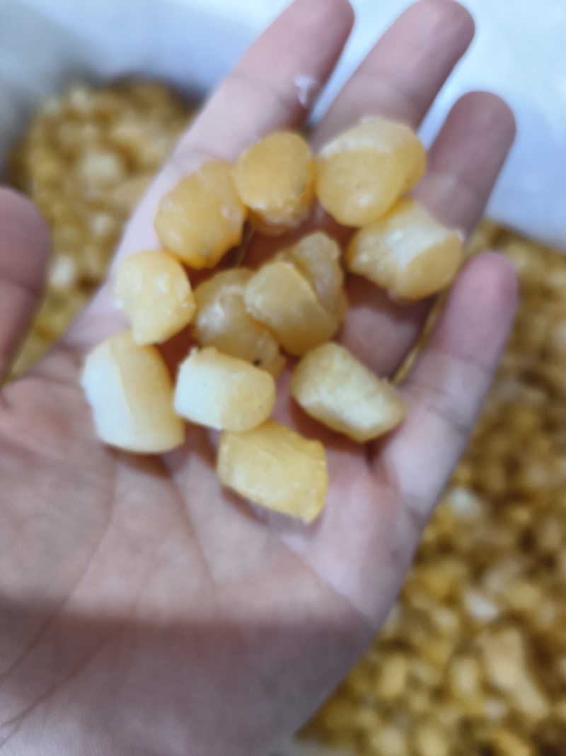 干贝瑶柱扇贝丁淡干盐干现货批发品质保证欢迎咨询