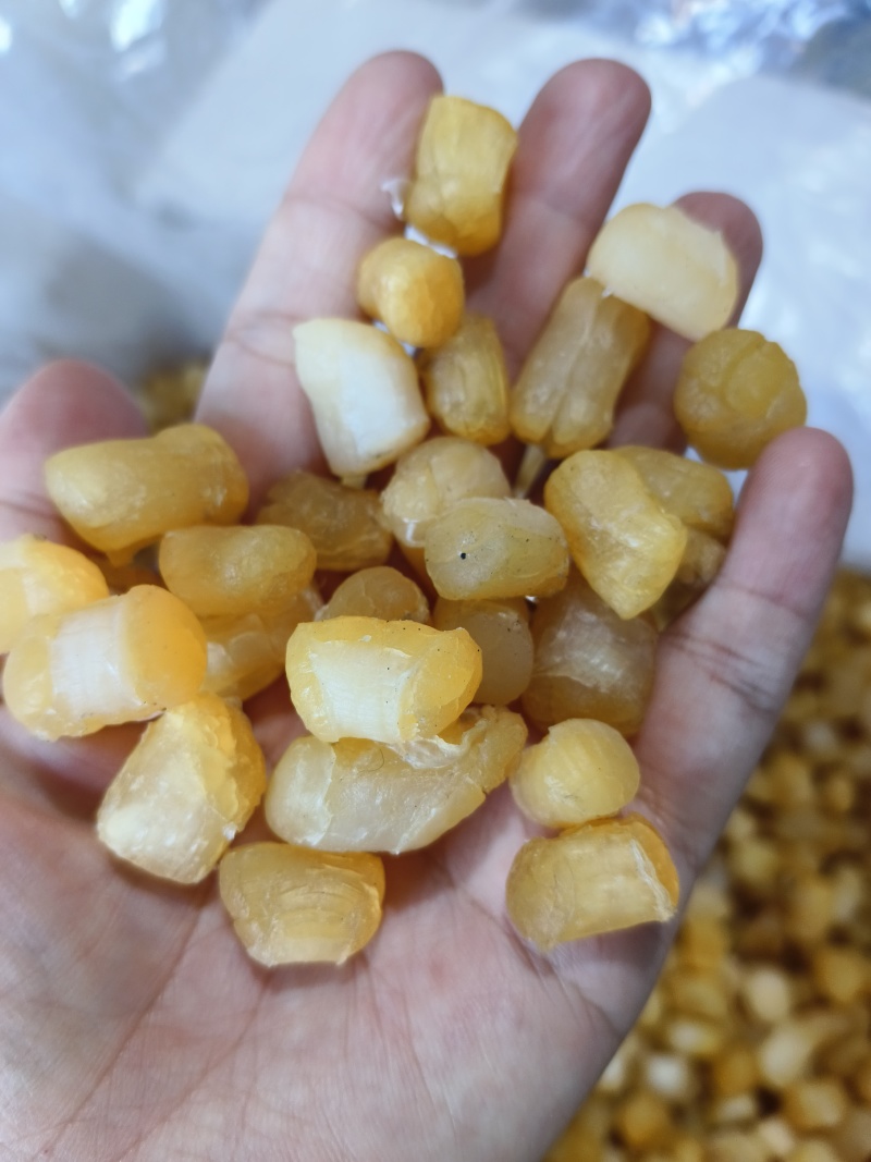 干贝瑶柱扇贝丁淡干盐干现货批发品质保证欢迎咨询