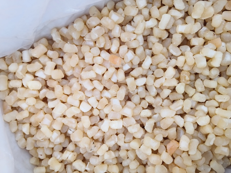 干贝瑶柱扇贝丁淡干盐干现货批发品质保证欢迎咨询