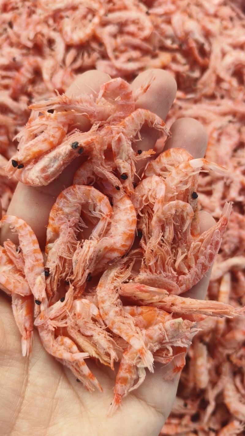 磷虾南极磷虾磷虾皮基地直发规格齐全一件也是批发价