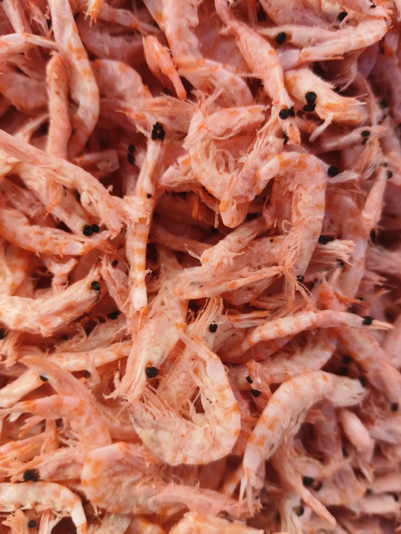 磷虾南极磷虾磷虾皮基地直发规格齐全一件也是批发价