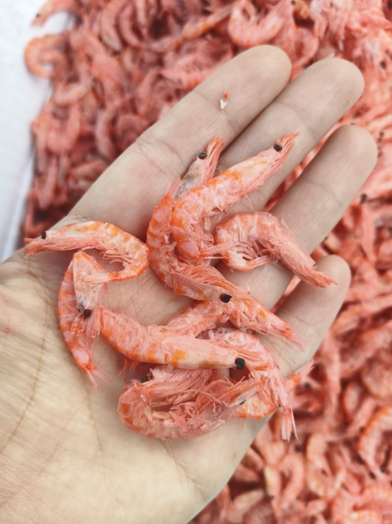 磷虾南极磷虾磷虾皮基地直发规格齐全一件也是批发价