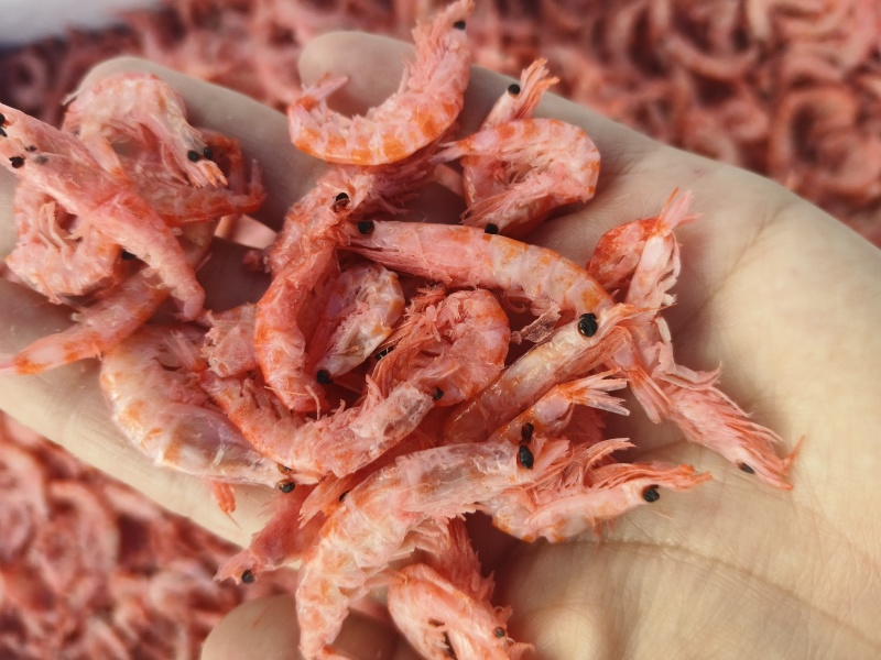 磷虾南极磷虾磷虾皮基地直发规格齐全一件也是批发价