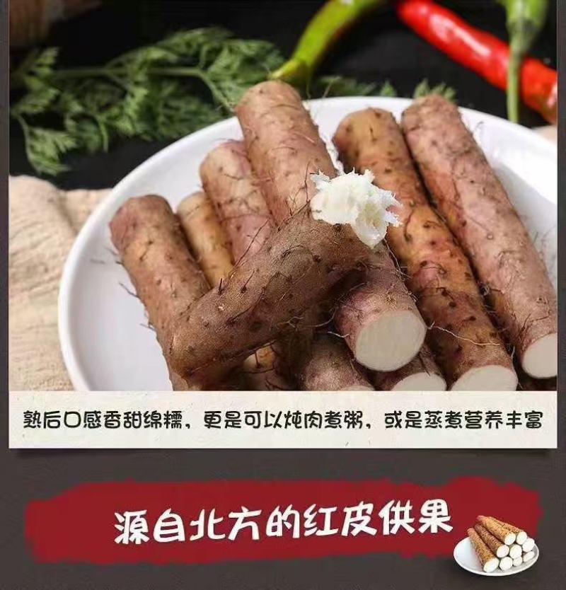 山药铁棍山药规格齐全零售批发全国档口市场商超产地一手货
