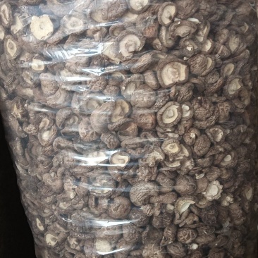 香菇肉厚无根脱水，新货香菇，一件也是批发价