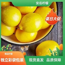 【新鲜柠檬】一件代发安岳黄柠檬整箱批发皮薄多汁多新鲜批