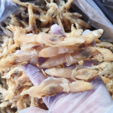 海蛏干山东蛏干肉粒饱满无沙盐分低大量供应全国发货