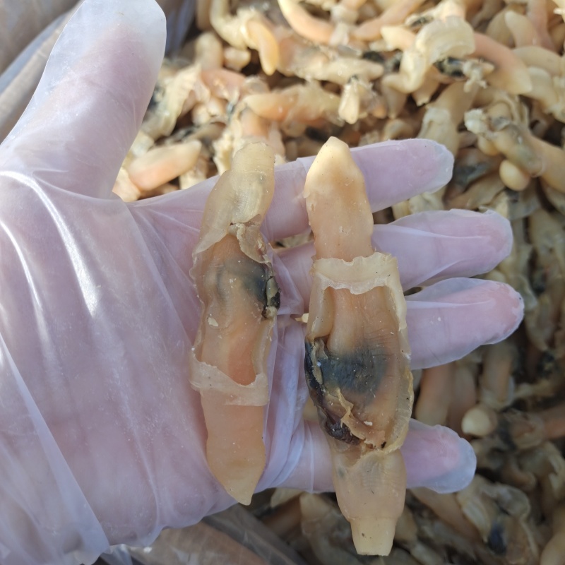 海蛏干山东蛏干肉粒饱满无沙盐分低大量供应全国发货