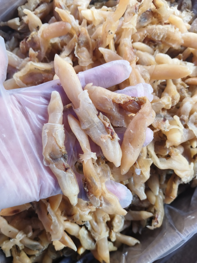 海蛏干山东蛏干肉粒饱满无沙盐分低大量供应全国发货