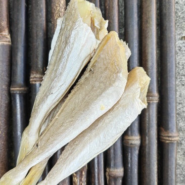 角条鱼红头鱼山东红娘鱼咸鱼干