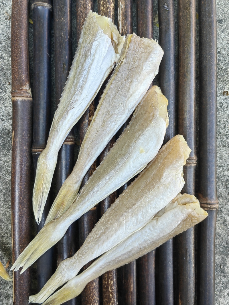 角条鱼红头鱼山东红娘鱼咸鱼干