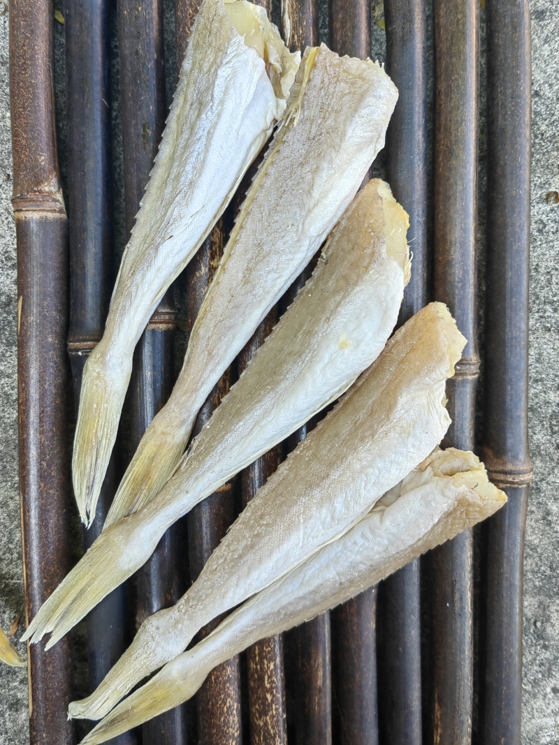 角条鱼红头鱼山东红娘鱼咸鱼干