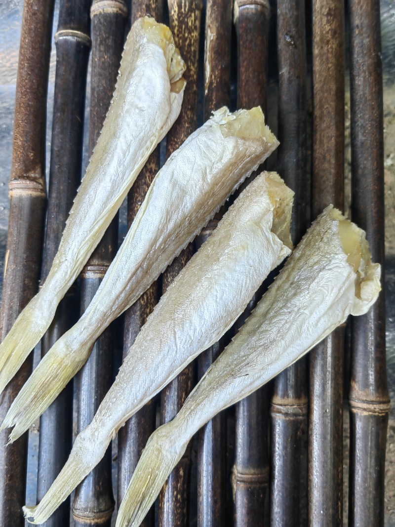 角条鱼红头鱼山东红娘鱼咸鱼干