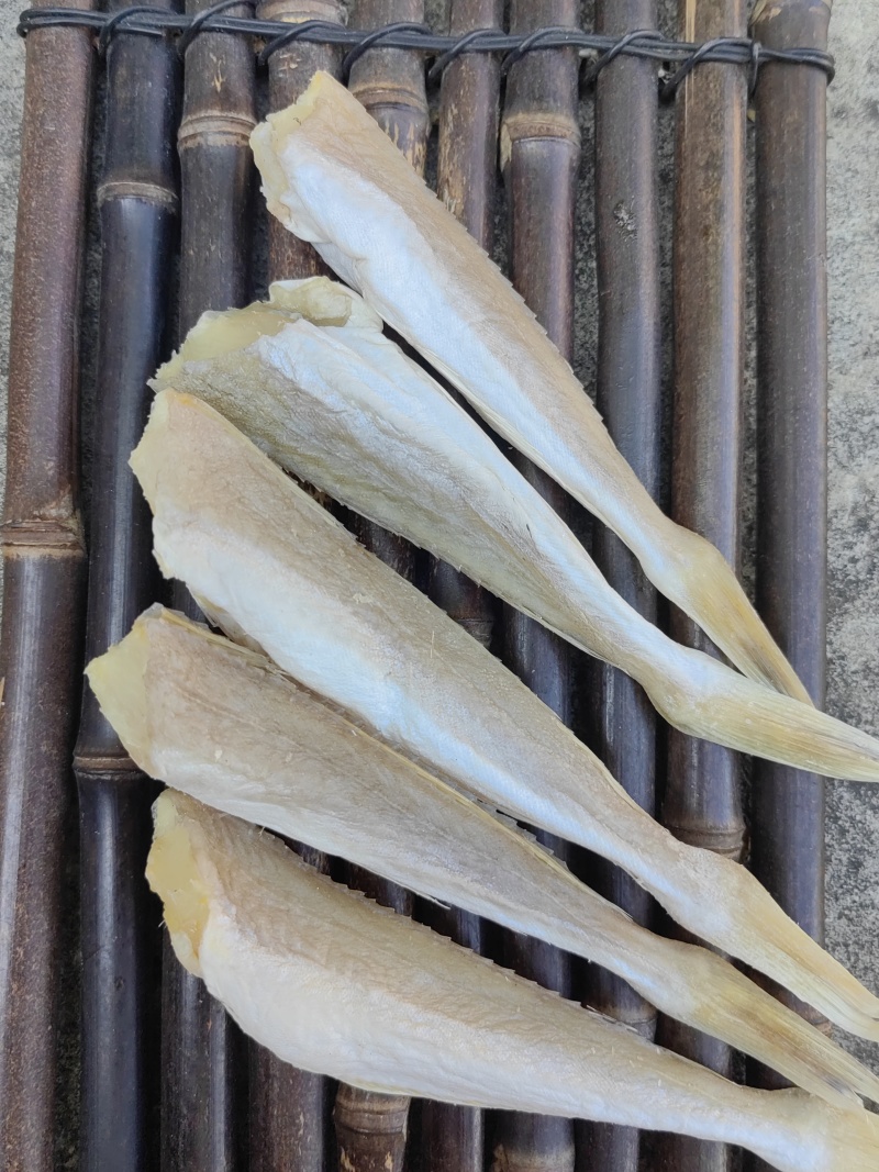角条鱼红头鱼山东红娘鱼咸鱼干