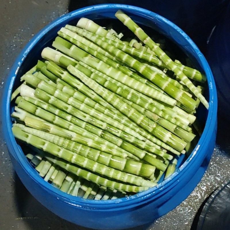 绿笋专业