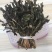 萝卜缨子干菜，干净浓浓的干菜香